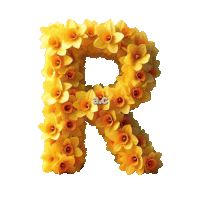 the letter r is made out of yellow flowers and has the letters a.c. below it