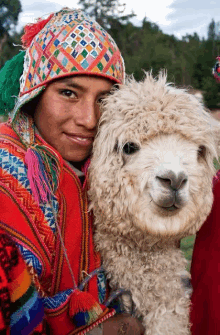 a man in a colorful hat holds a white alpaca in his arms