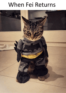 a cat in a batman costume is sitting on a tiled floor