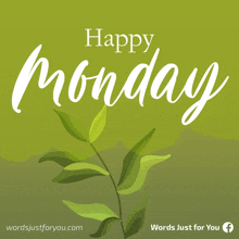 a green background with the words happy monday written in white