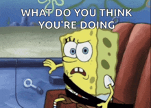 a cartoon of spongebob with the words what do you think you 're doing below him