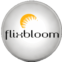 a logo for flixbloom with a sun in the middle