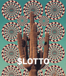 an optical illusion poster with a cactus and the word lotto on the bottom