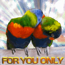 two colorful birds are sitting on a wooden table with the words for you only above them