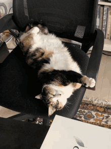 a cat is laying on its back on a black chair