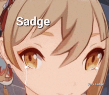 a close up of a girl 's face with the words sadge and very sadge on the bottom