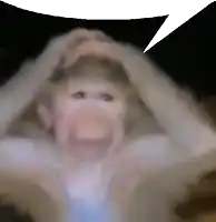 a blurry picture of a monkey with a white speech bubble above it