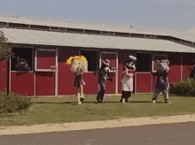 four mascots are dancing in front of a barn