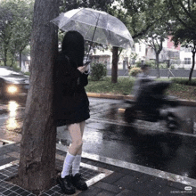 a girl leaning against a tree holding a clear umbrella while looking at her phone .