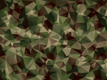 a camouflage pattern made up of triangles in different shades of green and brown