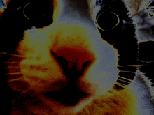 a close up of a cat 's face with a glowing eye