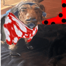 a dog laying on a blanket with a red and white scarf around his neck