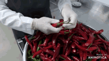 a person holding a red pepper in front of a bowl of red peppers with the words made in animotica on the bottom