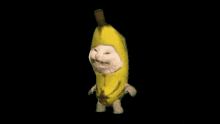 a cat is dressed as a banana with a black background