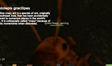 a screenshot of a video game shows a giant ant