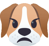 a brown and white dog with an angry face