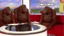 three orangutans are sitting on a red couch with the words wo clemens on the bottom