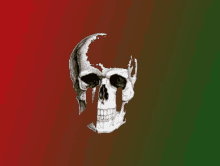 a skull with a red and green background