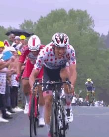 a group of cyclists are riding down a road and one of them is wearing a polka dot jersey with the number 1 on it