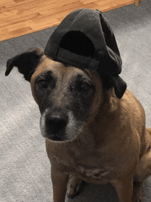 a dog wearing a hat on its head is sitting on the floor .