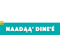 a blue sign that says naadaa dine e