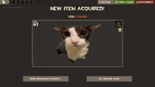 a black and white cat is on a screen that says new item acquired you found