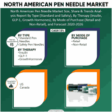 north american pen needle market size share & trends anal- ysis report by type standard and safety by therapy insulin glp-1 growth hormones