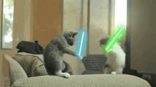 a cat is sitting on a couch playing with a light saber .