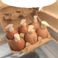 a carton of eggs with soap bottles inside of them