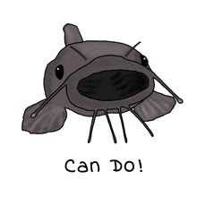 a drawing of a catfish and the words " can do " below it