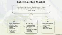 a diagram of a lab on a chip market