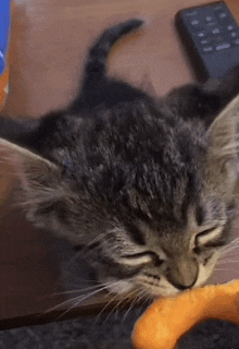 a cat laying on a table with its eyes closed and a remote in the background