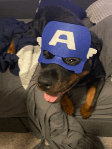 a dog wearing a captain america mask on its head