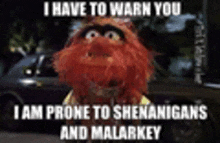 a muppet is standing in front of a car and says `` i have to warn you ``