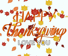 a happy thanksgiving greeting card with leaves and the words " love you "