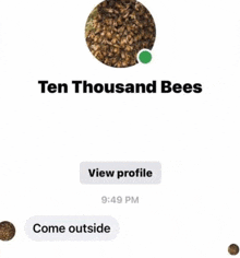 a text message from ten thousand bees with a picture of bees in the background