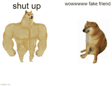 a picture of a dog that says shut up next to another dog