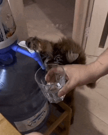 a person is pouring a glass of water from a water cooler .