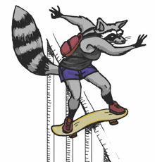 a drawing of a raccoon riding a skateboard on a white background