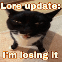 a black and white cat with the words " lore update i 'm losing it " above it