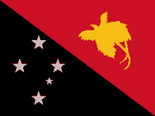 the flag of papua new guinea is red black and yellow