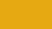 it is a yellow background that looks like a plain yellow background .