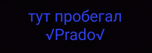 a black background with blue text that says " pradov " on it