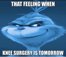 a grinch cartoon with a caption that says that feeling when knee surgery is tomorrow