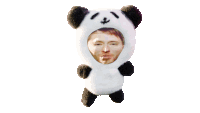 a stuffed panda bear with a man 's face in the middle