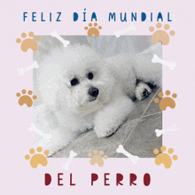 a picture of a white dog with the words feliz dia mundial del perro in red