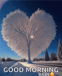 a picture of a heart shaped tree with the words good morning babe