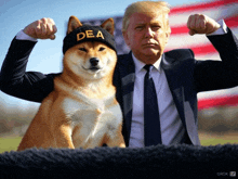 a dog wearing a dea hat stands next to donald trump