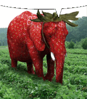 an elephant made out of strawberries standing in a field