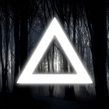 a glowing triangle in the middle of a forest